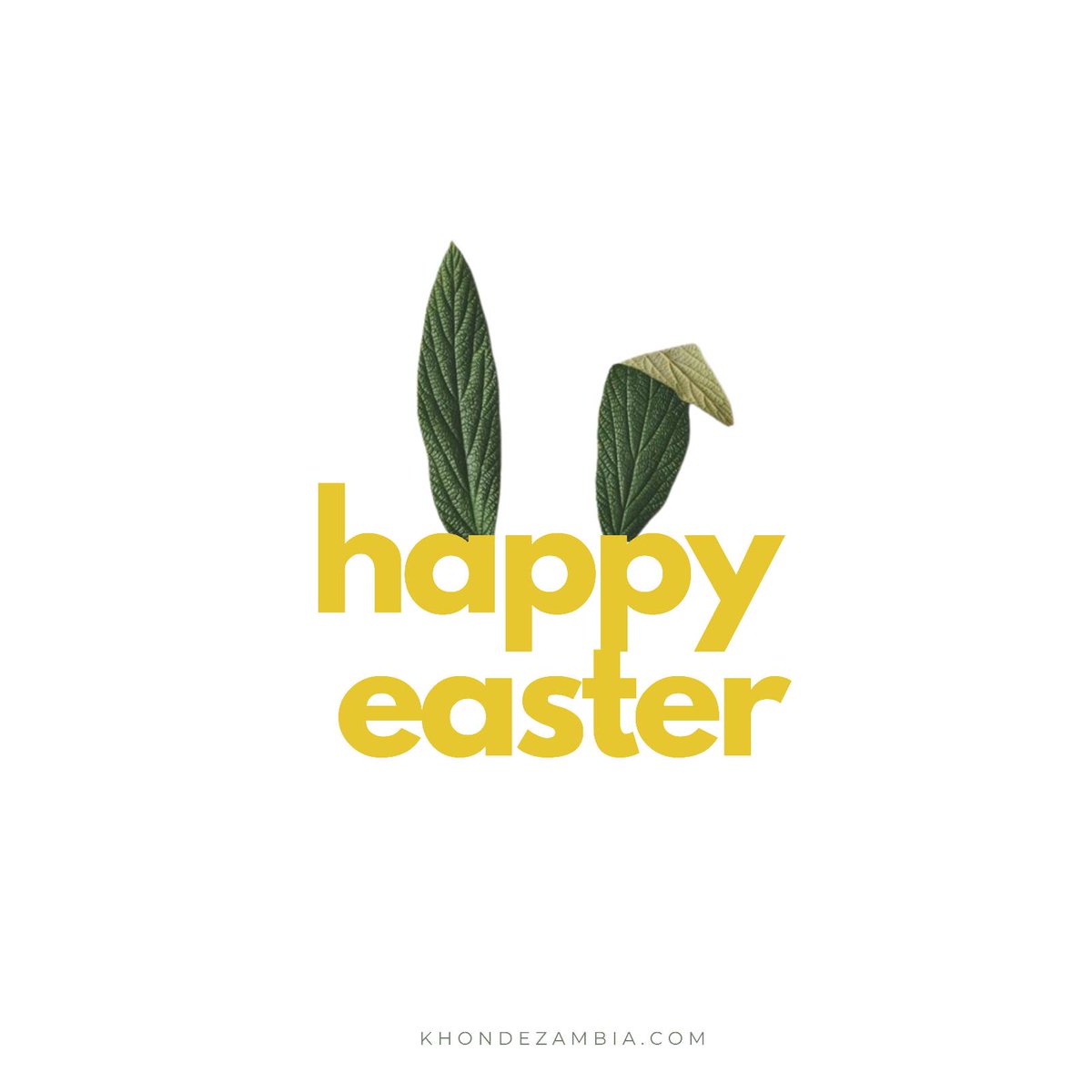 Happy Easter Sunday Khonde Family 💛 Hope you all spend this day with your family and friends with great love and warmth 😍✨