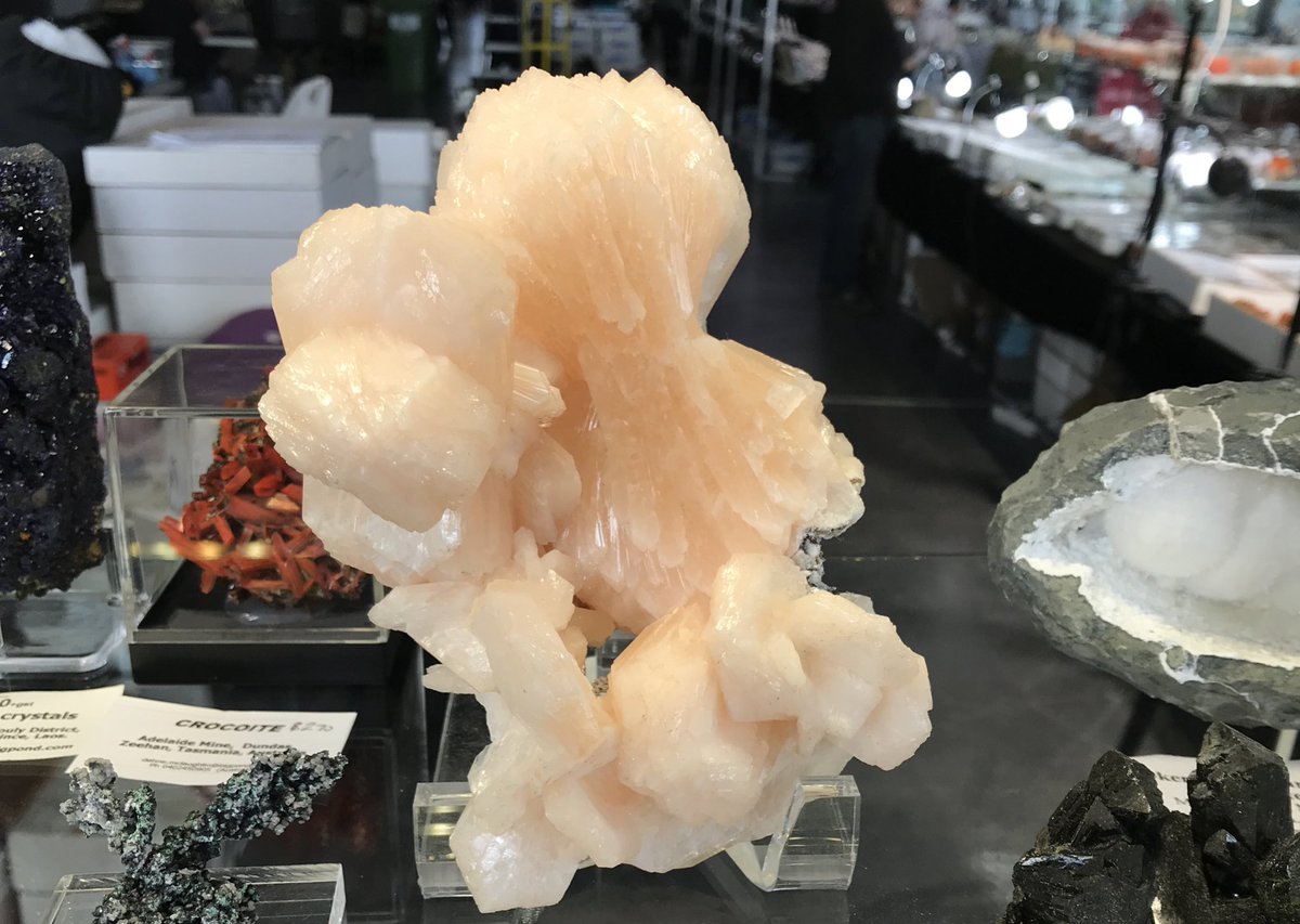 JoelRheinberger's tweet photo. Gorgeous minerals on display at @AFLACA #gemboree 2021

Crocoite, stilbite, malachite, and aquamarine. https://t.co/b0hs9tPVSj