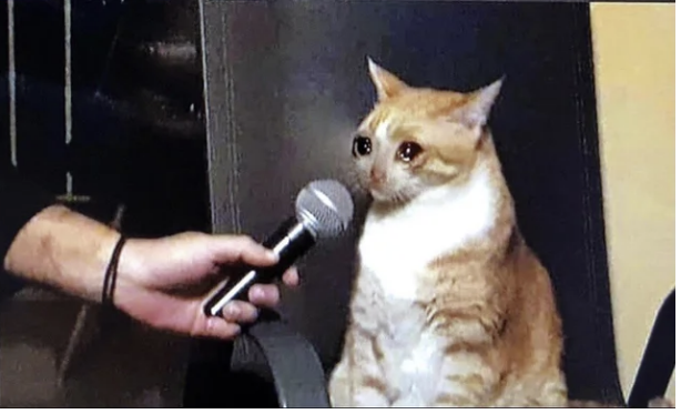 nixcraft's tweet image. Reporter: Since you are using Linux for many years, you must be good at it? 

me: *nervous chuckle*