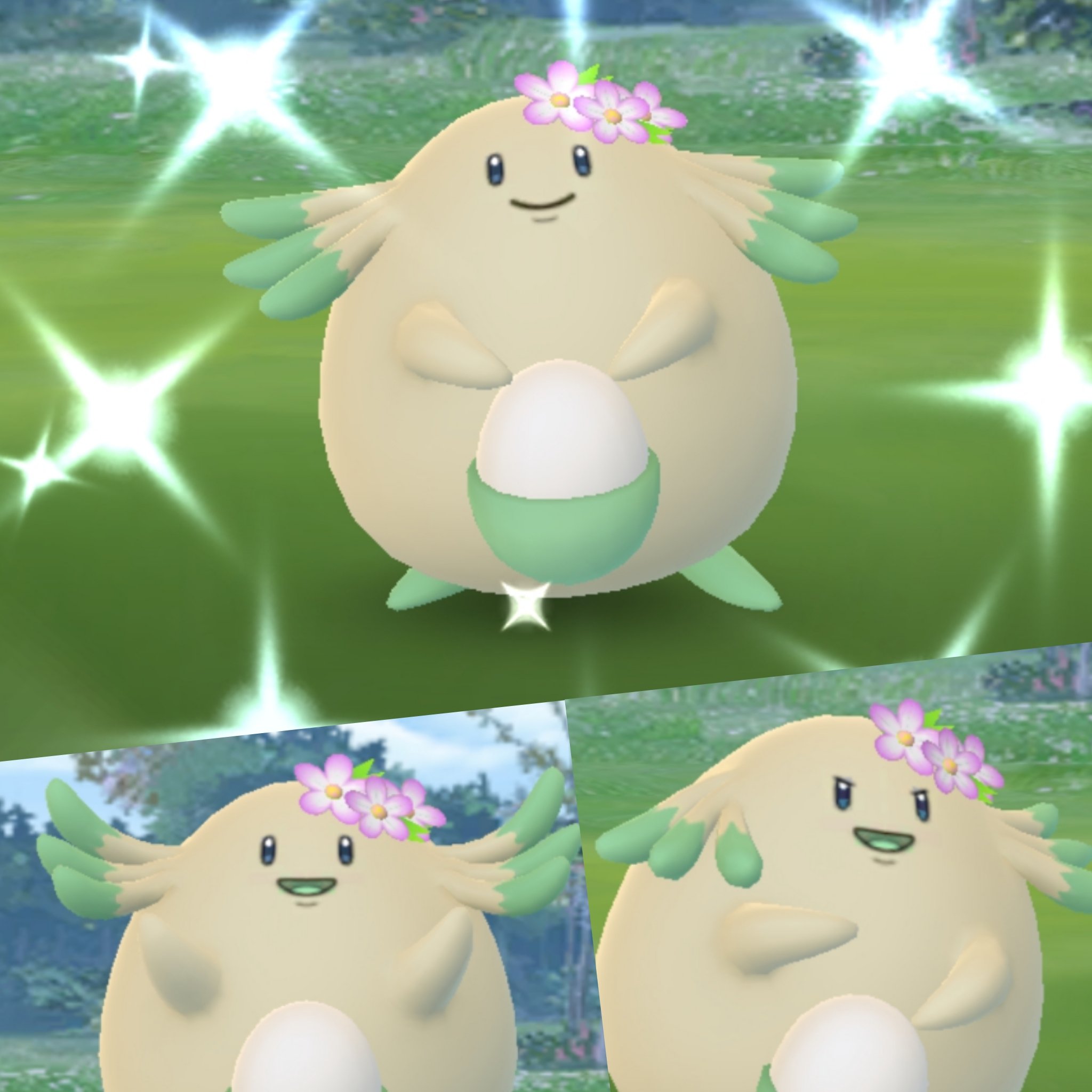 Amazinghisa 今日のポケモンgo活動2 イベント初日からラッキーが光った ヾ ﾉ 通常のと含め 計4匹目 レイドはメガミミロップ 3 フリーとリモートで頑張って エナジーも貯まった 明日のレイドでメガシンカしよ ポケモンgo ラッキー