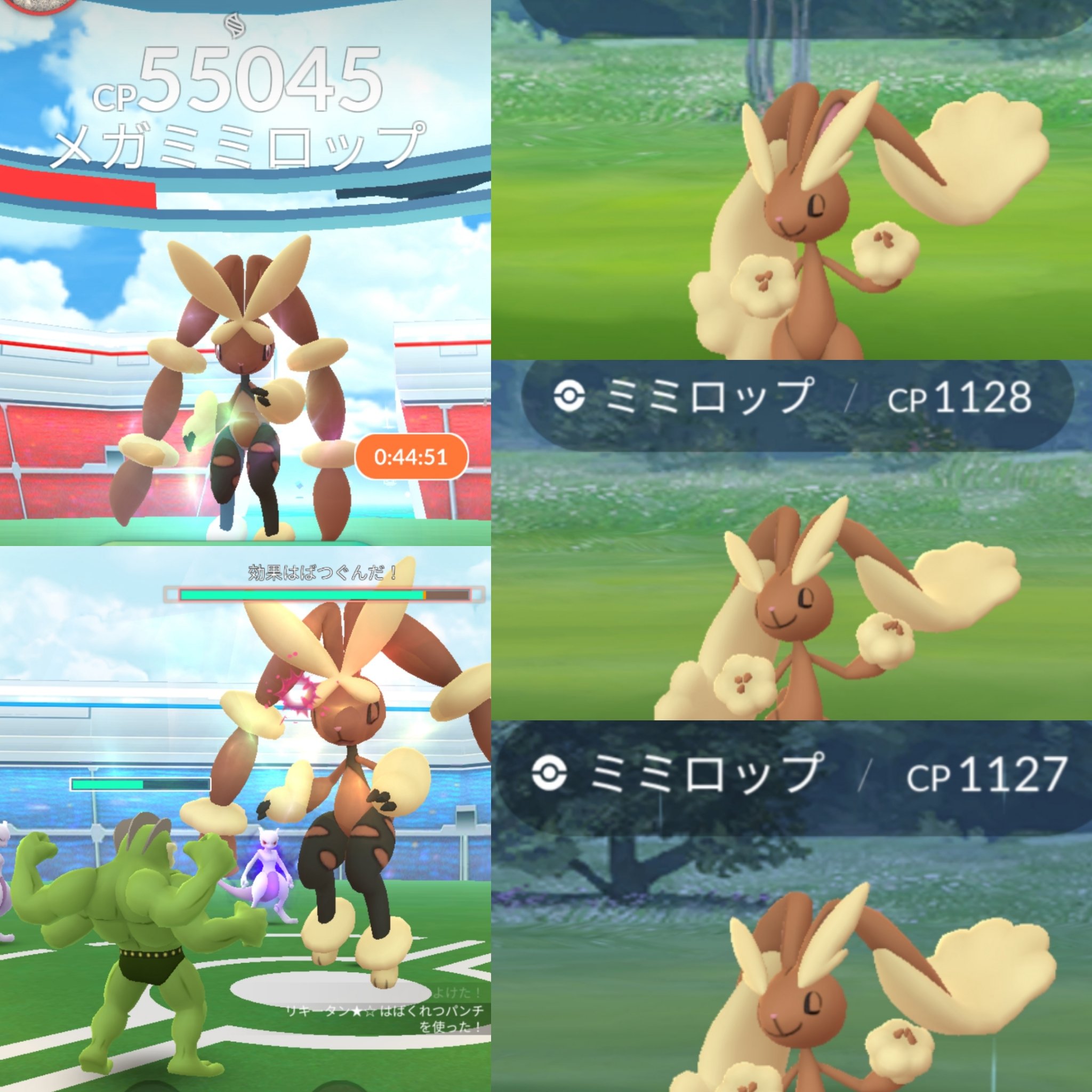 Amazinghisa 今日のポケモンgo活動2 イベント初日からラッキーが光った ヾ ﾉ 通常のと含め 計4匹目 レイドはメガミミロップ 3 フリーとリモートで頑張って エナジーも貯まった 明日のレイドでメガシンカしよ ポケモンgo ラッキー