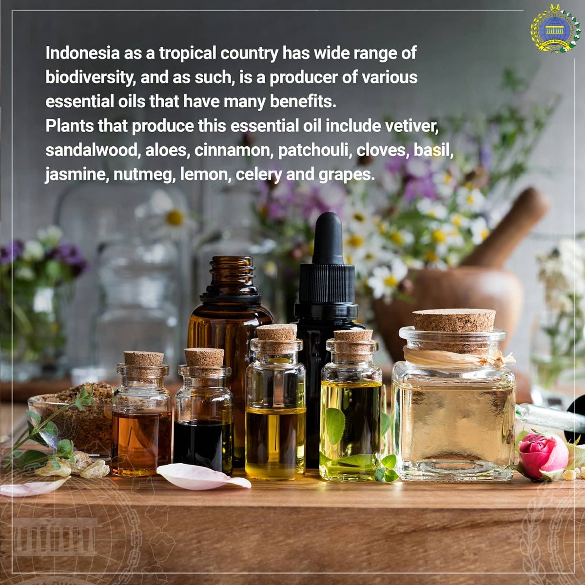 INAinManama's tweet photo. Indonesia's Essential Oil the World's Leading Product
#IniDiplomasi #IndonesianWay #RintisKemajuan #IndonesianExport #IndonesianOil https://t.co/9EYQBQGeu7