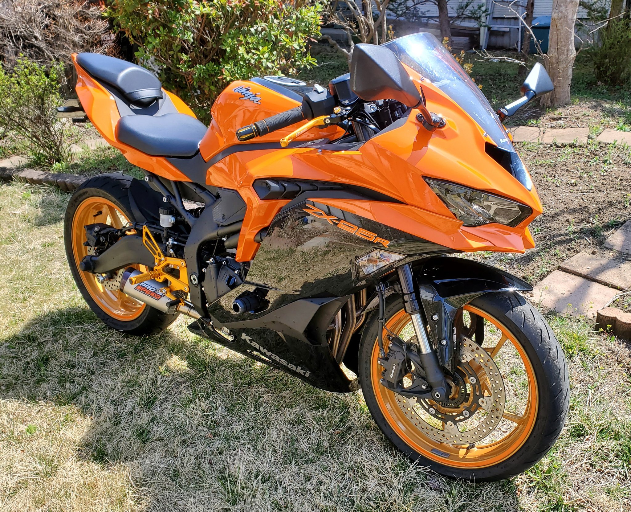 レックス on X: レックス on X: