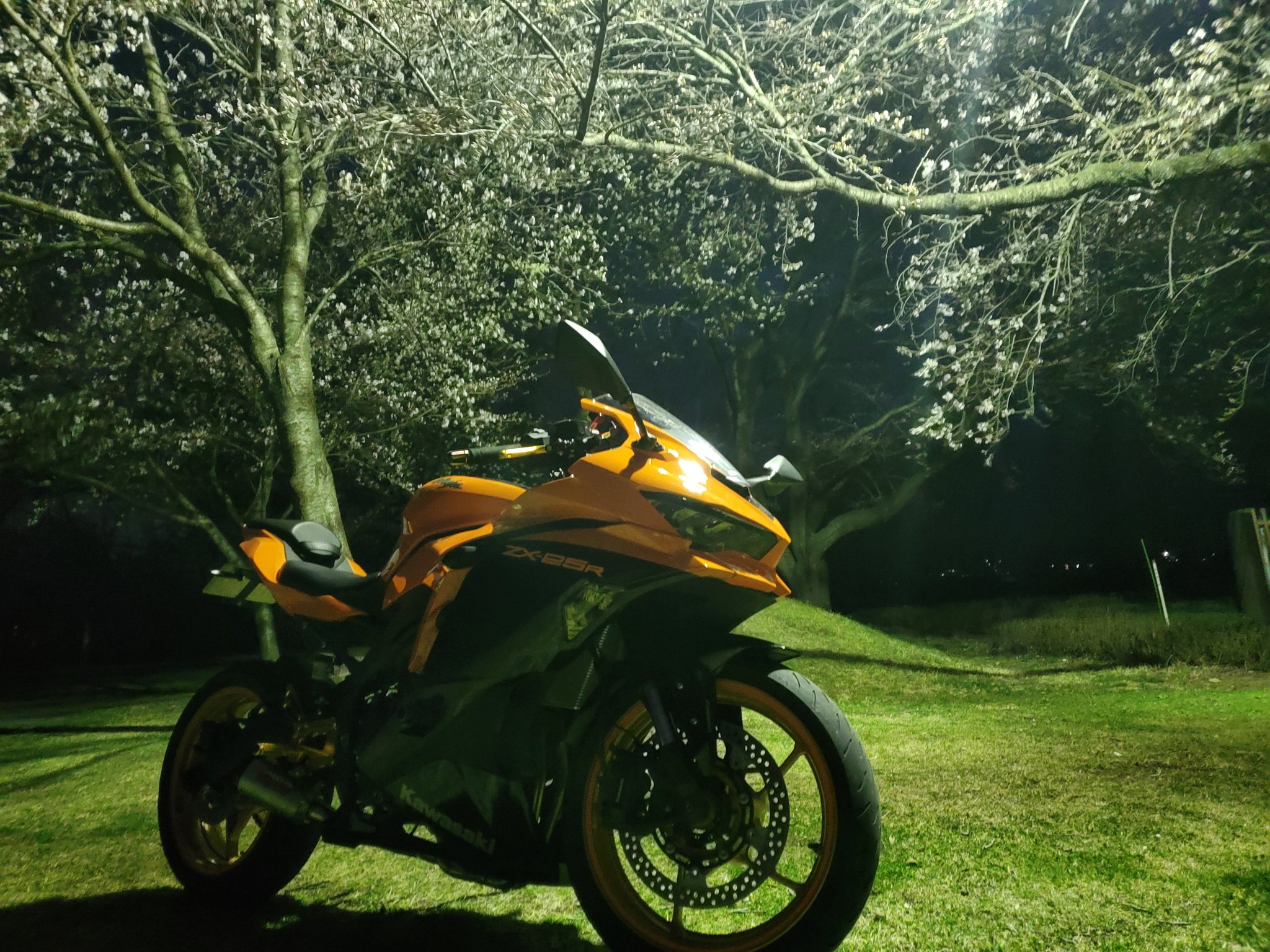 レックス on X: レックス on X: