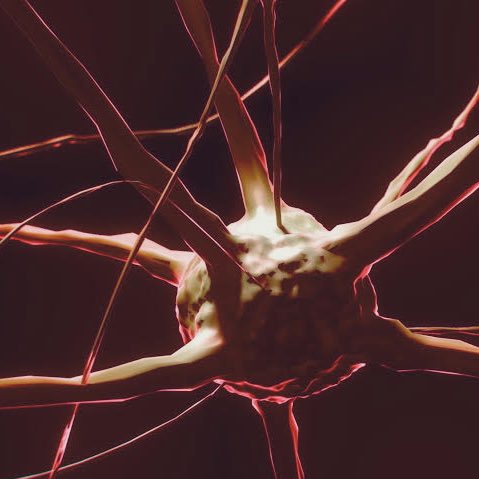 ⠀⠀⠀⠀⠀⠀⠀⠀
⠀⠀—— 𝐊𝐀𝐍𝐄’𝐒 𝐌𝐈𝐍𝐃

(ᴀ ᴛʜʀᴇᴀᴅ ᴀʙᴏᴜᴛ ᴍᴀʀᴄᴜs ᴋᴀɴᴇ ɪɴ ᴀ ᴄᴏᴍᴀ)
         
       ༄ ᴍᴀɪɴ ᴛʜʀᴇᴀᴅ: bit.ly/31MY58d
    ⠀⠀⠀⠀⠀⠀⠀⠀