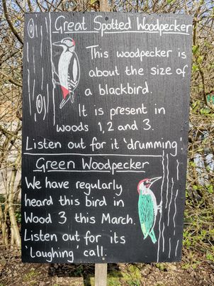 WoodlandCoffee's tweet photo. π³π³ Happy #BankHoliday Monday.
Head to @Ecclesallwoods for #Shortbread, #Biscoff #Latte, #Birds & #Bluebells.
We're OPEN TODAY & all week / 10am-4pm. #Lockdown3 / #Takeaway Only / Queue #2MetresApart
@ParksSheffield @theoutdoorcity @VisitSheffield @WildSheffield #SheffEvents https://t.co/kf6fSmc0hY