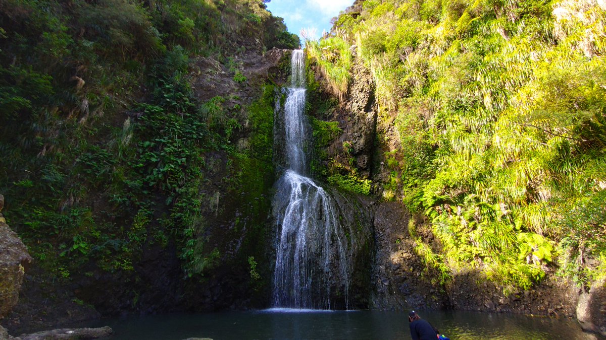 Shahid 💙 🇳🇿 tweet media