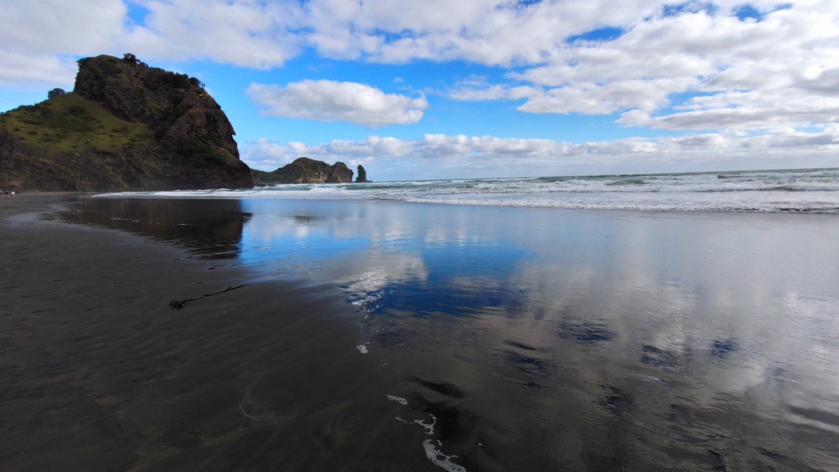 Shahid 💙 🇳🇿 tweet media