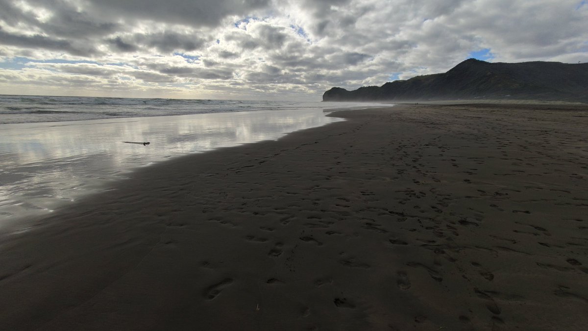 Lovely day out thanks to <a href="/BushandBeach/">Bush & Beach NZ</a> (highly recommend them)