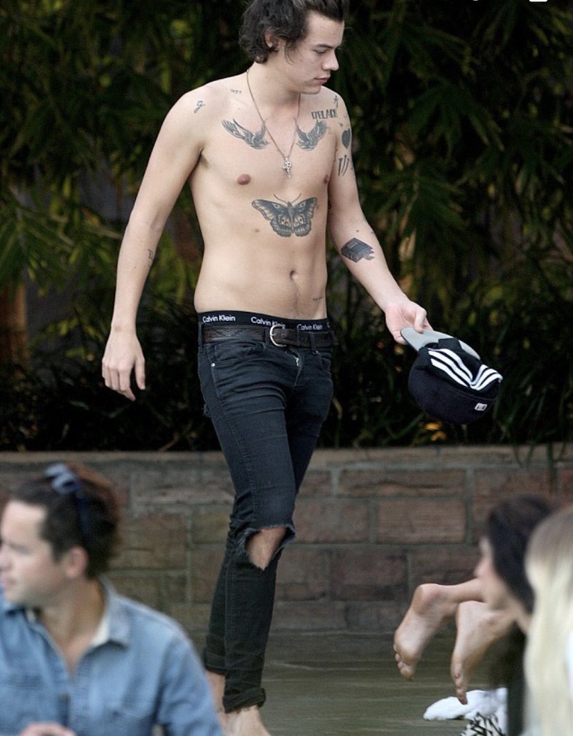 One Direction's Harry Styles Denies Naked Photo Is Him, We'll Just Have To Pretend It Is