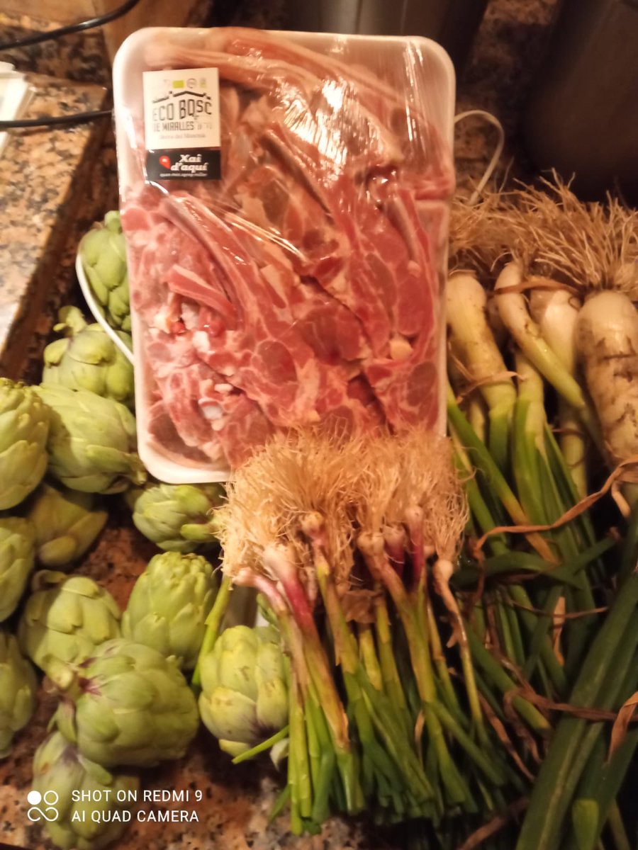 Eco Bosc de Miralles tweet media