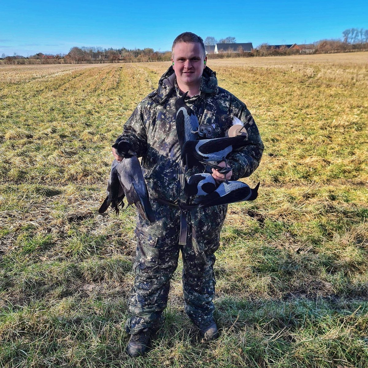 Lucky_Hunter_'s tweet photo. Jens and his hunting buddy Morten (@maeng_hunting) were asked to do some crow regulation. 
They used the flocked crow decoys along with the Lucky Duck Quiver Critter and the Dan Thompson PC5 call.

#crowhunting #crowregulation #rigemright #danthompsoncalls #luckyduck https://t.co/6T3Td8GSmc