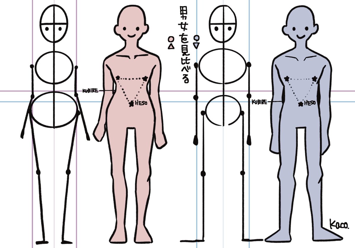 骨とか筋肉とか考え出すとキリがないのでこれがワタシの最短ルート 