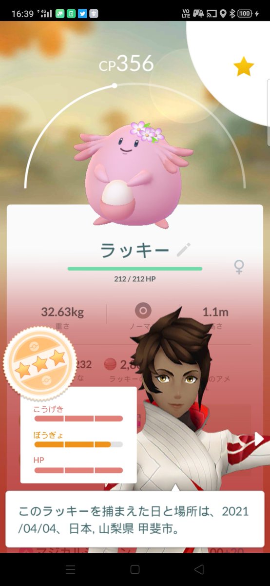 まー Ctu山梨ポケモン支部 Ctu Pokemon Jp Twitter まー Ctu山梨ポケモン支部 Ctu Pokemon Jp Twitter