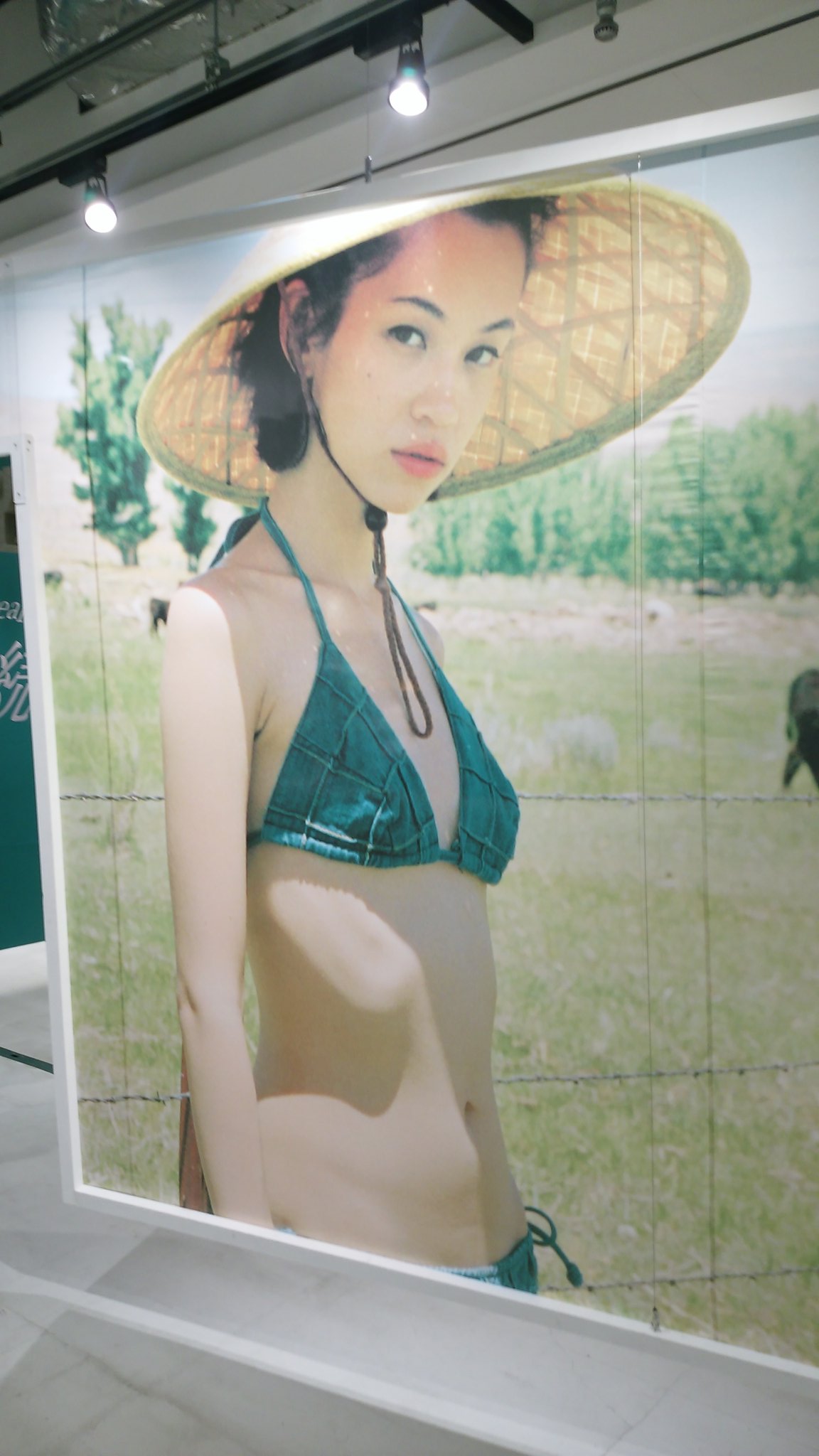 水原希子 直筆サイン付き限定最新ヌード写真集 夢の続き