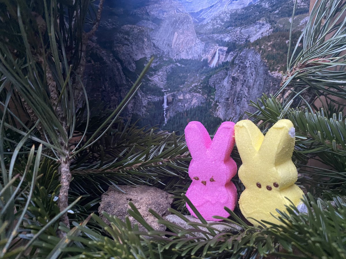 ExpeditionNPS's tweet photo. The historic 3-day #Yosemite #camping trip of #POTUS #TeddyRoosevelt and #JohnMuir resulted in not only expanded protection for @YosemiteNPS but also the preservation of 5 #nationalparks, 18 #nationalmonuments, 150 #nationalforests and more.

#peeps #peepsdiorama #easter #nature https://t.co/c21JhUkMrv