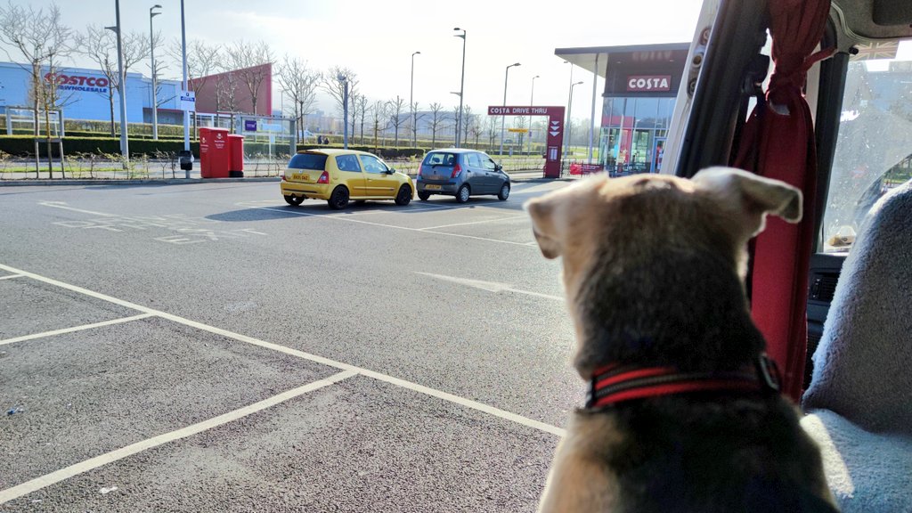 Firesnapper999's tweet image. Good morning all, no bike out this a.m, campervan day out taking shots with the Nikon. Haven't told Benson, he's being dropped off at home 😳 #BadDad  #CameraTime