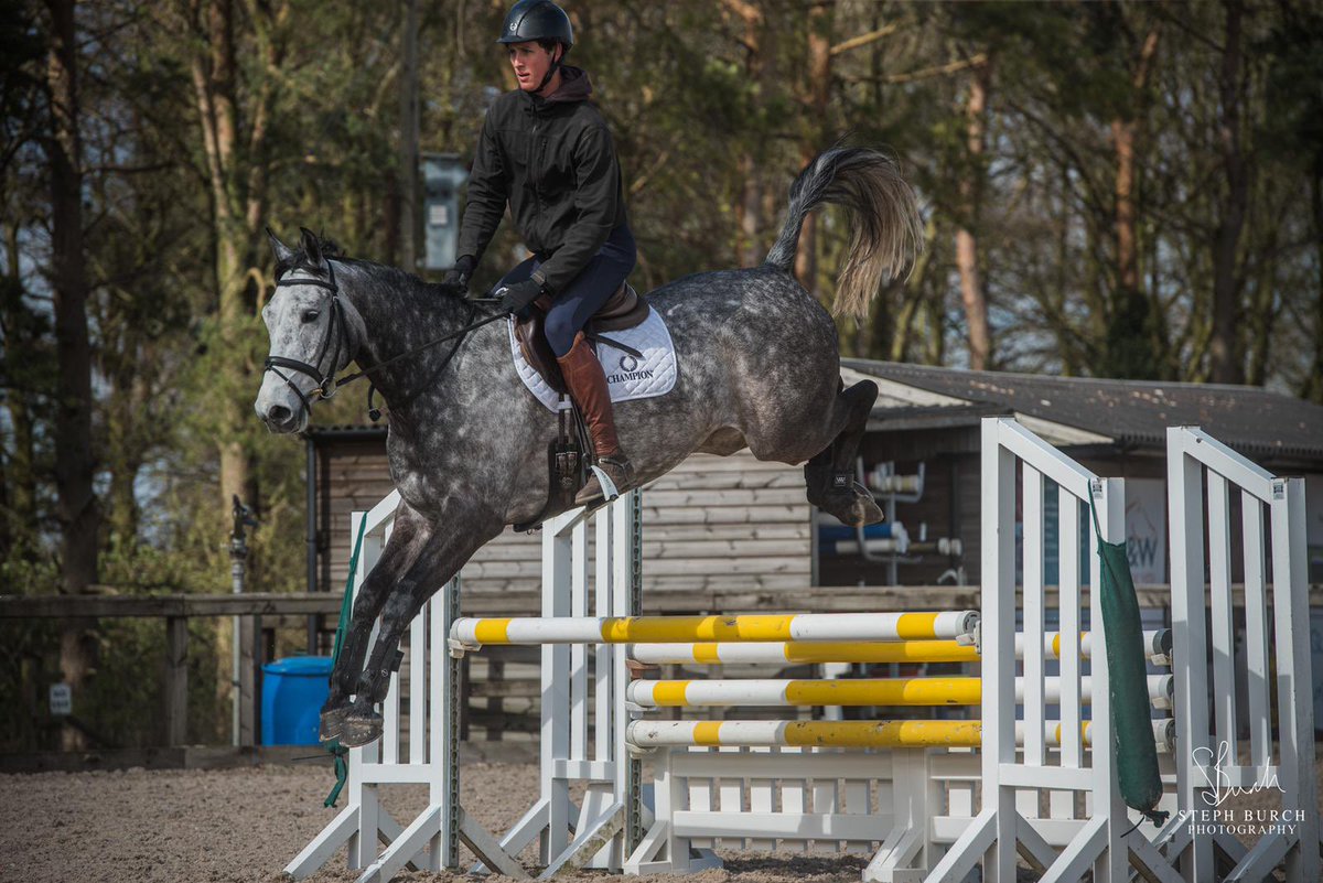 Easter jumping with Gorgeous George, have a wonderful day everyone 🤩🐣

@championequestrian 
<a href="/safe_riding/">Buford Jacob</a>