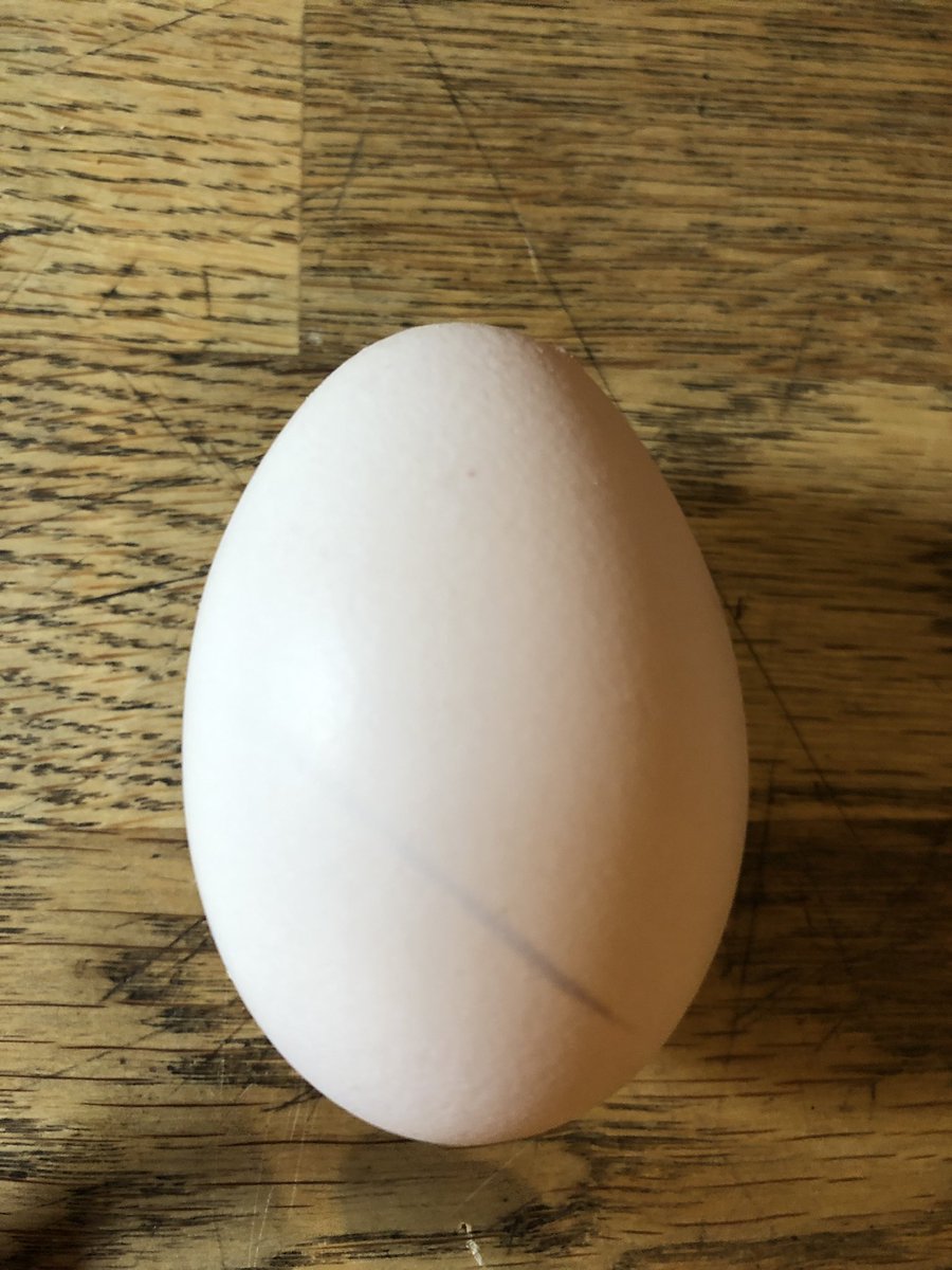 KentHallHotel's tweet photo. Happy Easter! https://t.co/sguJip2MaQ