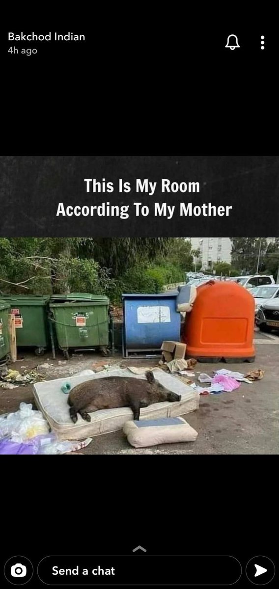 Chloe Yo (@chloeyo10) on Twitter photo 