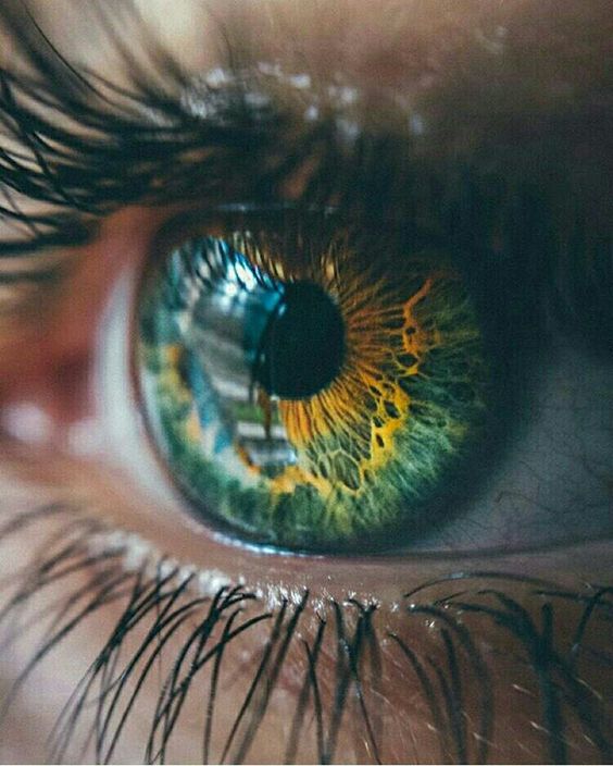 krowertak's tweet photo. our eyes https://t.co/MENOmEpWEr