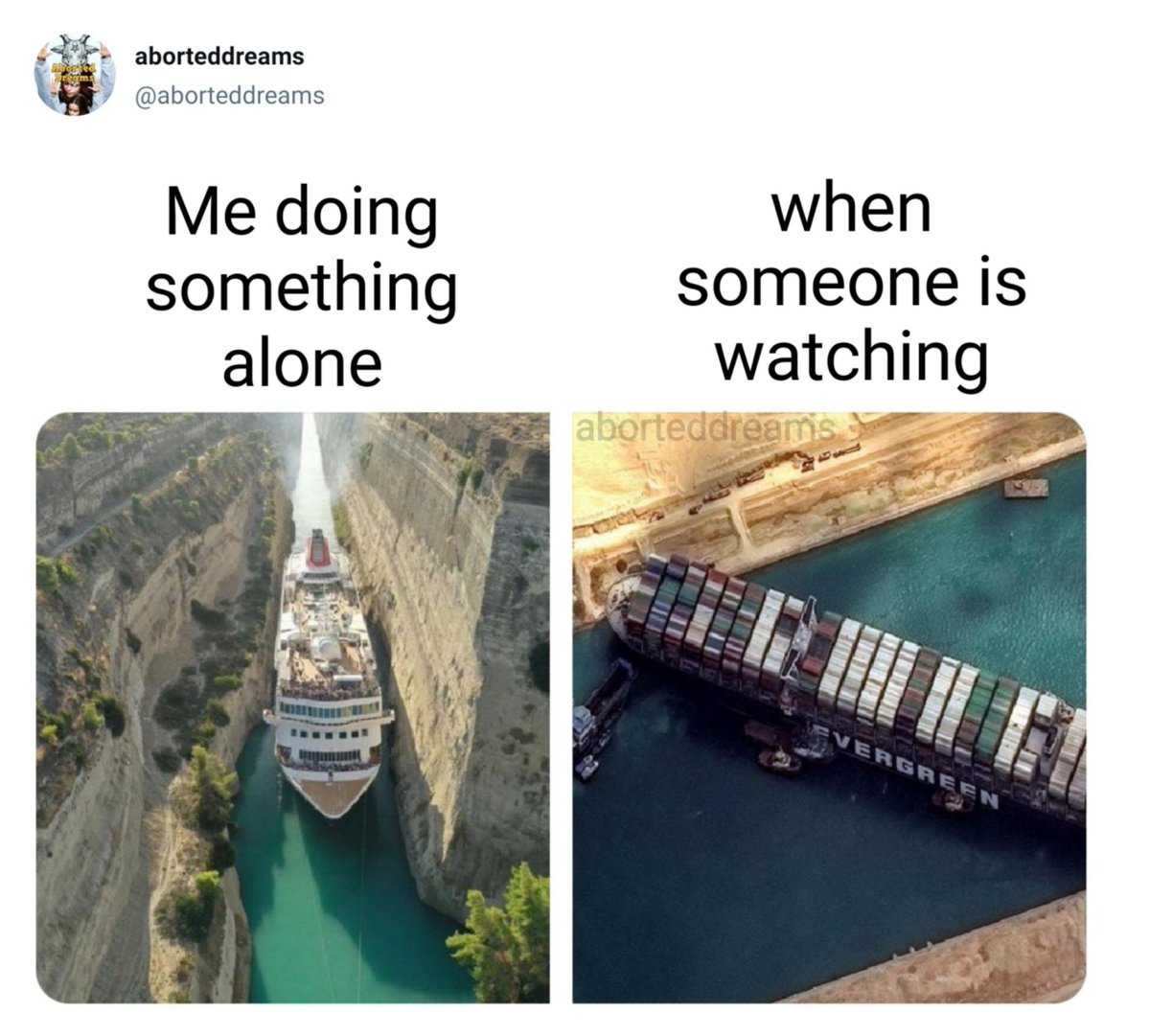 DankMemesClub's tweet photo. https://t.co/xNGgtKfhCw