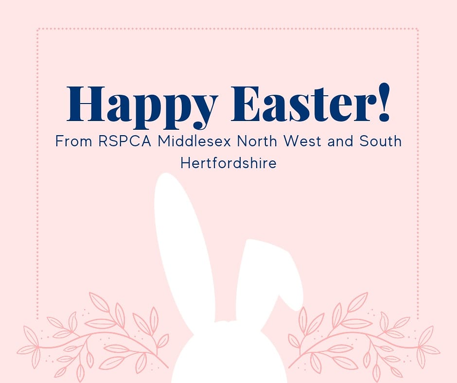 RSPCAMIDDLESEX's tweet image. 