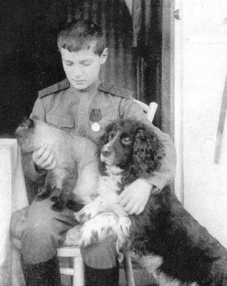 OnurOnol's tweet photo. Çareviç Aleksey’in cocker spaniel cinsi köpeği Joy. Romanov ailesi (ve hizmetkarları) Yekaterinburg’ta öldürülürken Joy o sırada saklanıp sonra da evden kaçtığı için (ayrıca sessiz bir köpek olduğundan) kurtuldu. Ailenin diğer iki köpeği de öldürüldü). https://t.co/y2TmtsEC89