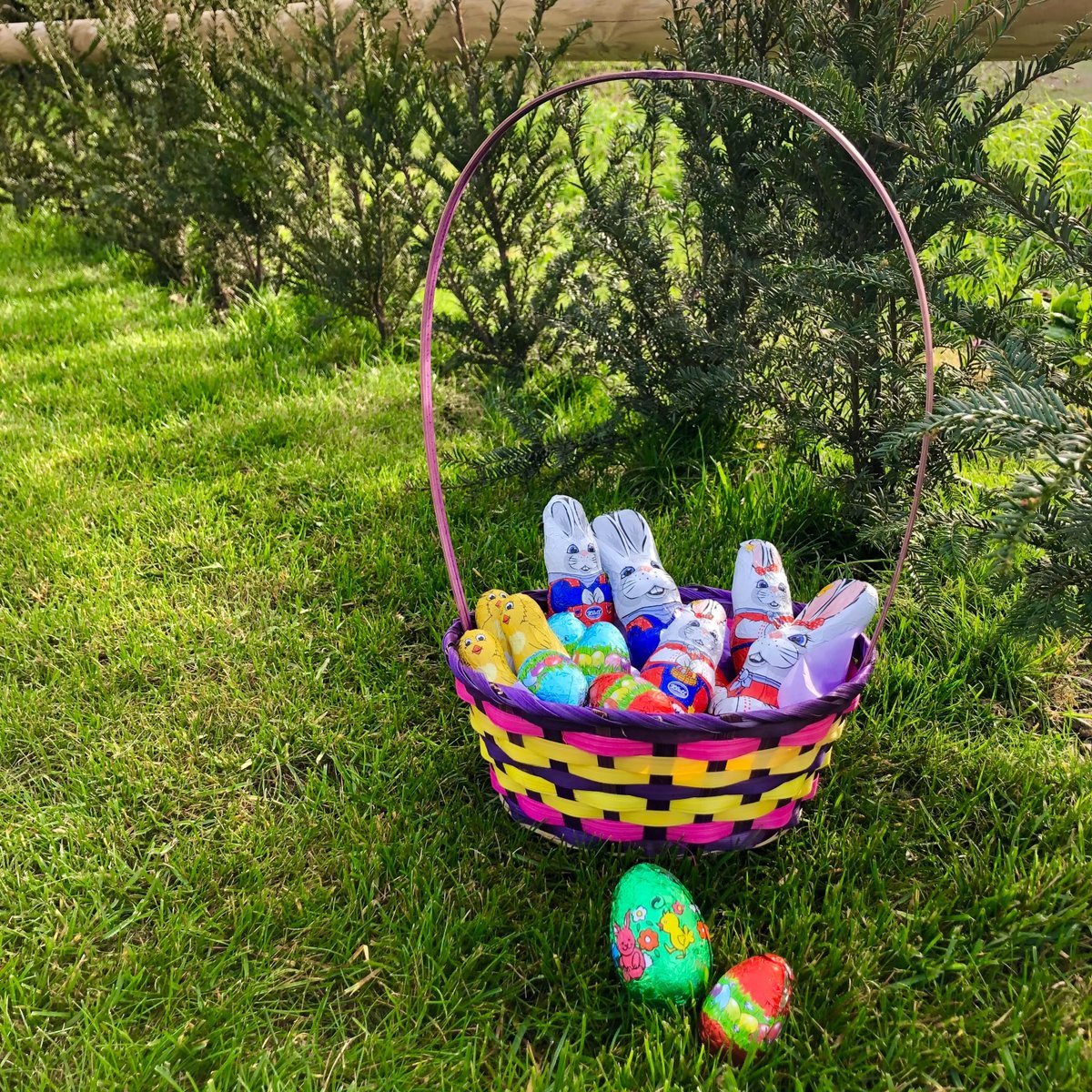 Wishing You A Happy Easter From Holwood Farm! 
#easter #eastersunday #shoplocal