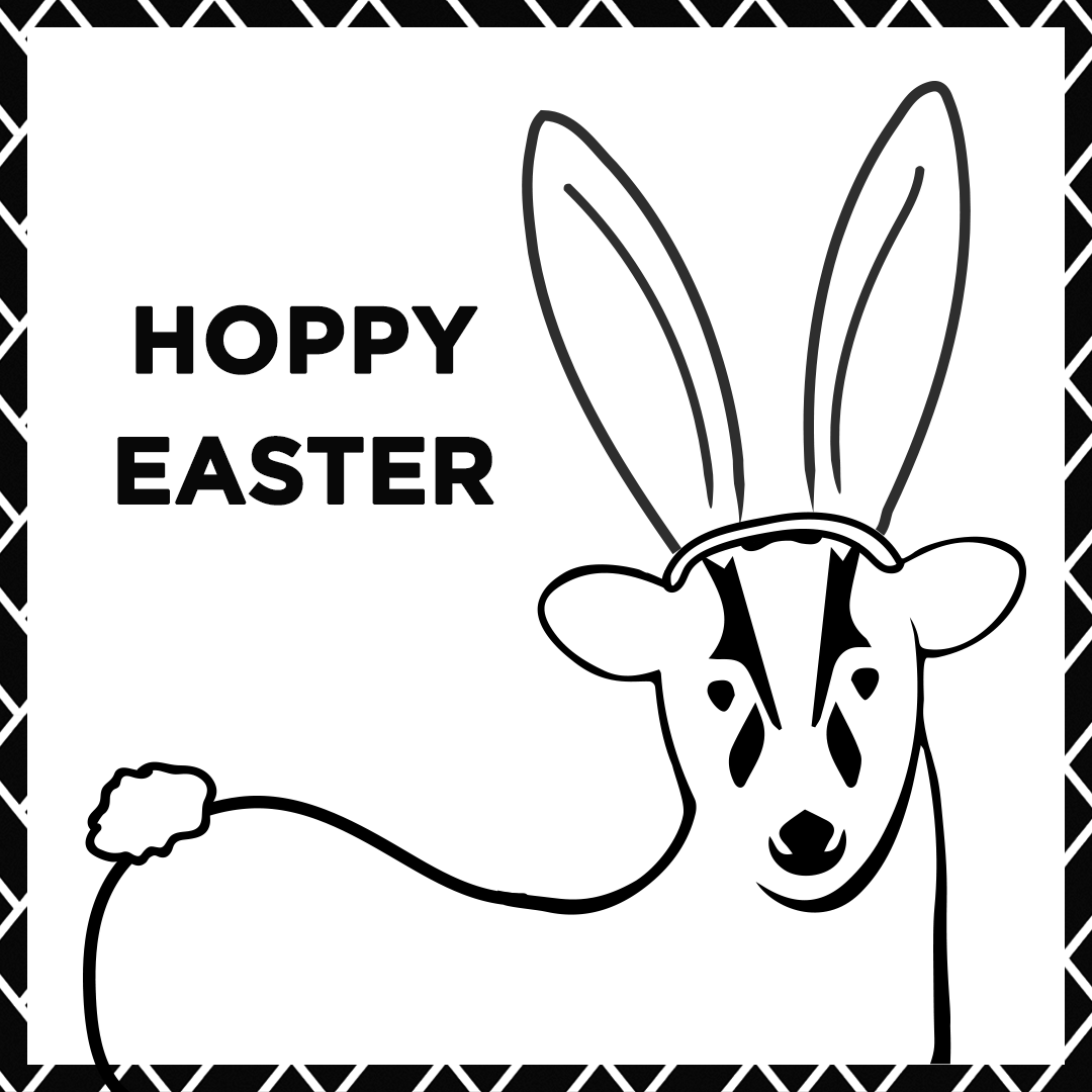 Happy Hoppy Easter to our customers and friends

We hope you have a lovely day!