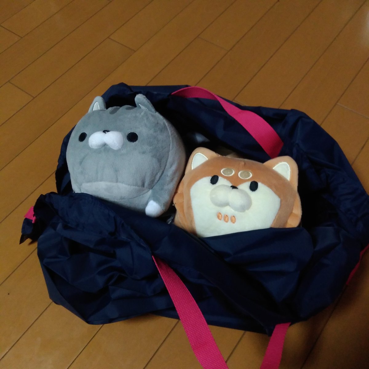 むーみん シュパットの現物ｷﾀ ﾟ ﾟ 家族の名前を借りて複数口出したら 母の名前で当たってましたw ぬいぐるみは 大きさの比較です ありがとうございます O ﾟ ﾟ O 当選報告 パスコ Pasco シュパット Shupatto エコバッグ T
