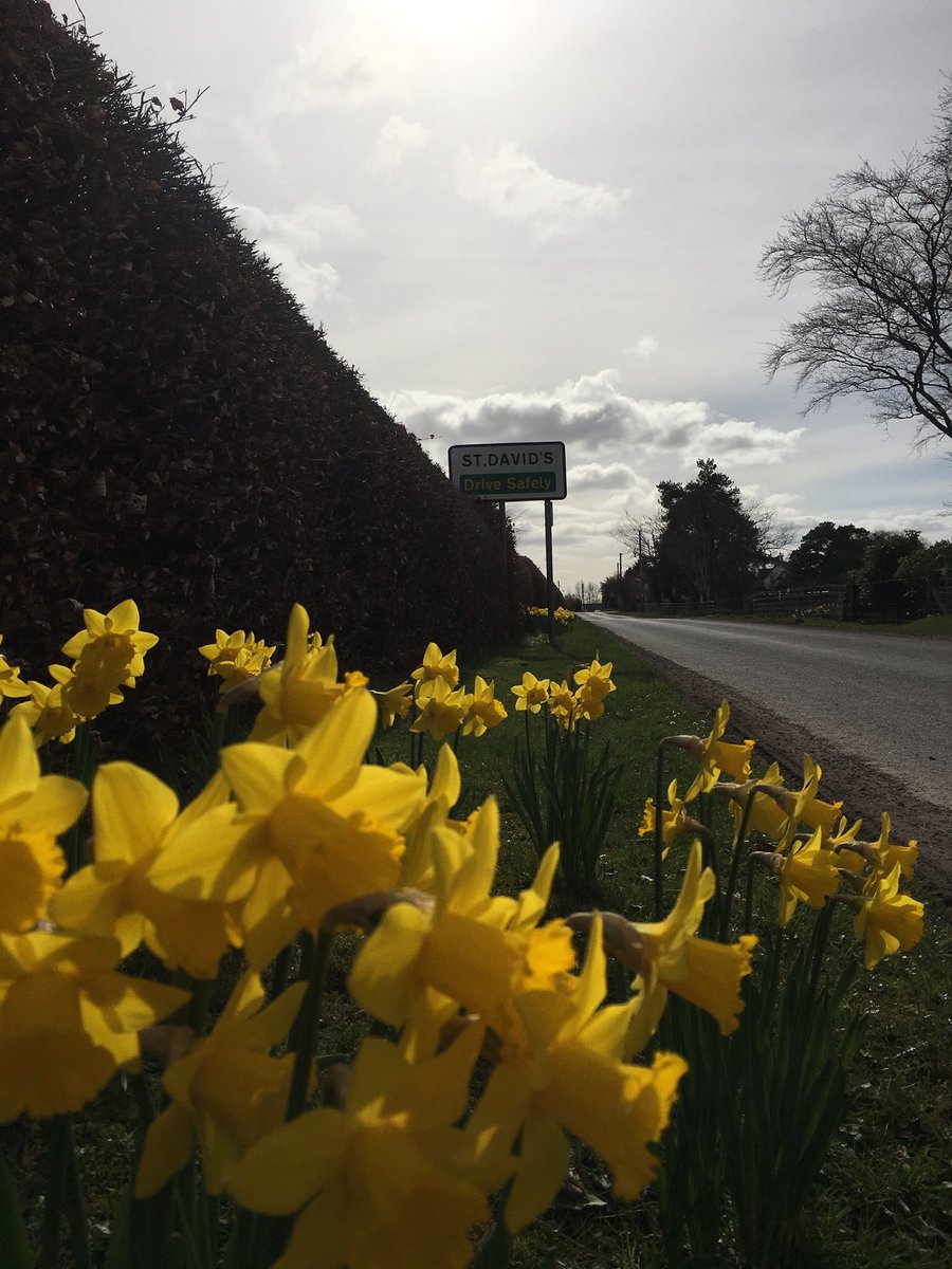 What would have been Sunday at Youth Tour of Scotland would now mean looking after the beautiful Daffys 🌼 in St David’s, and Team Time Trial and 2nd Road race. A mega early start and the most grateful for <a href="/StrathallanSchl/">Strathallan School</a> cooked breakfast! #YTOSWeekender