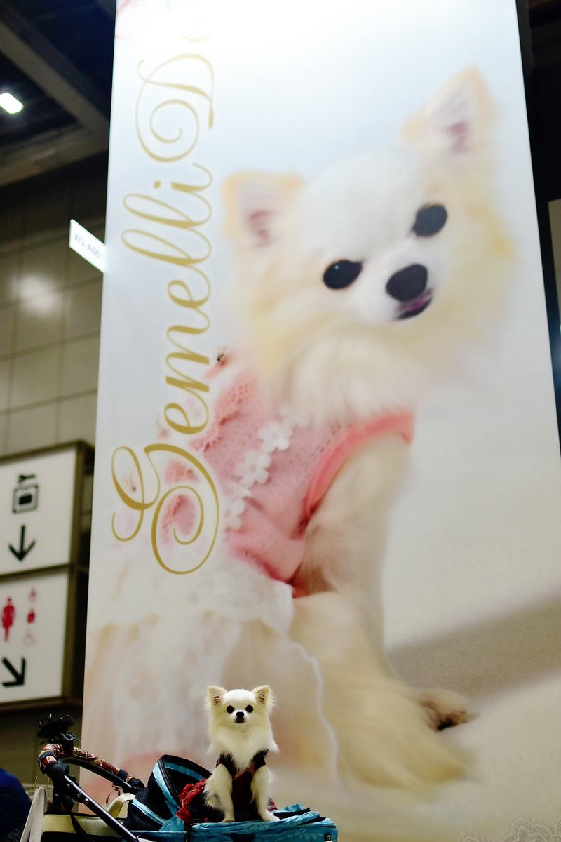 9a 84 91 96 Af Twitter Search