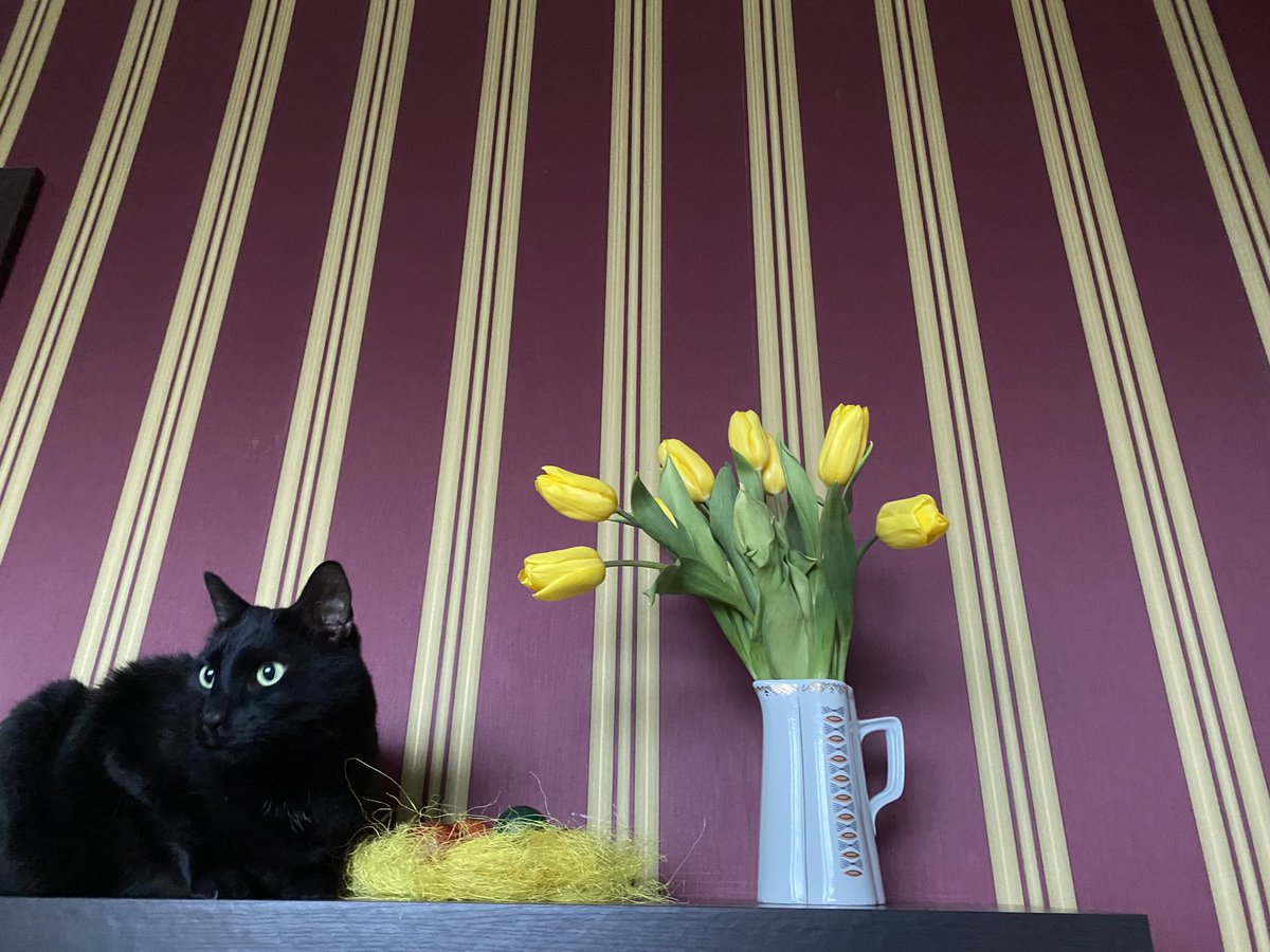 Priecīgas Lieldienas!