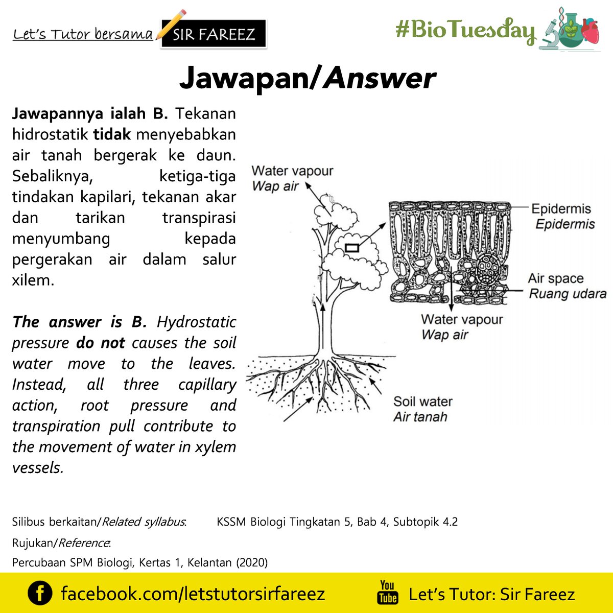 Fareez_Yusran's tweet photo. #BioTuesday
Jom try jawab soalan berkenaan sistem pengangkutan air dalam tumbuhan 🌳
Let's try to answer this question about water transport system in plants 🌳
#BioTingkatan5 #BioForm5 #Biology #Biologi #KSSM #SPM2021 #LetsTutorSirFareez https://t.co/br7UnEyPFI