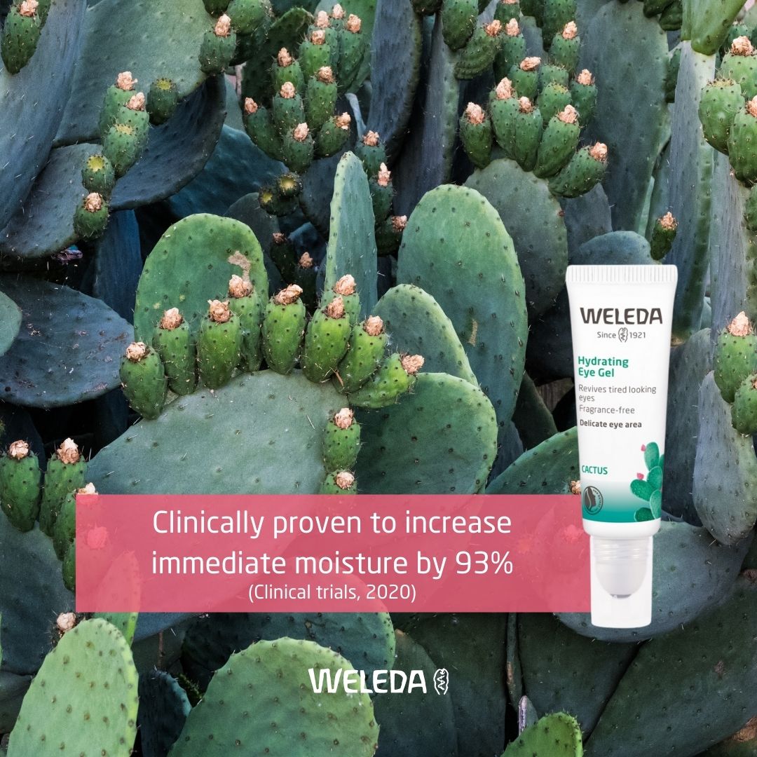 WeledaUK's tweet image. Reawaken your skin’s ability to retain&amp;amp;balance hydration with our fast-absorbing facial cream🌵The certified natural Prickly Pear Cactus Hydrating Collection is clinically proven to deliver up to 24 hours of weightless, breathable hydration&amp;amp;non-comedogenic.bit.ly/3fysejQ