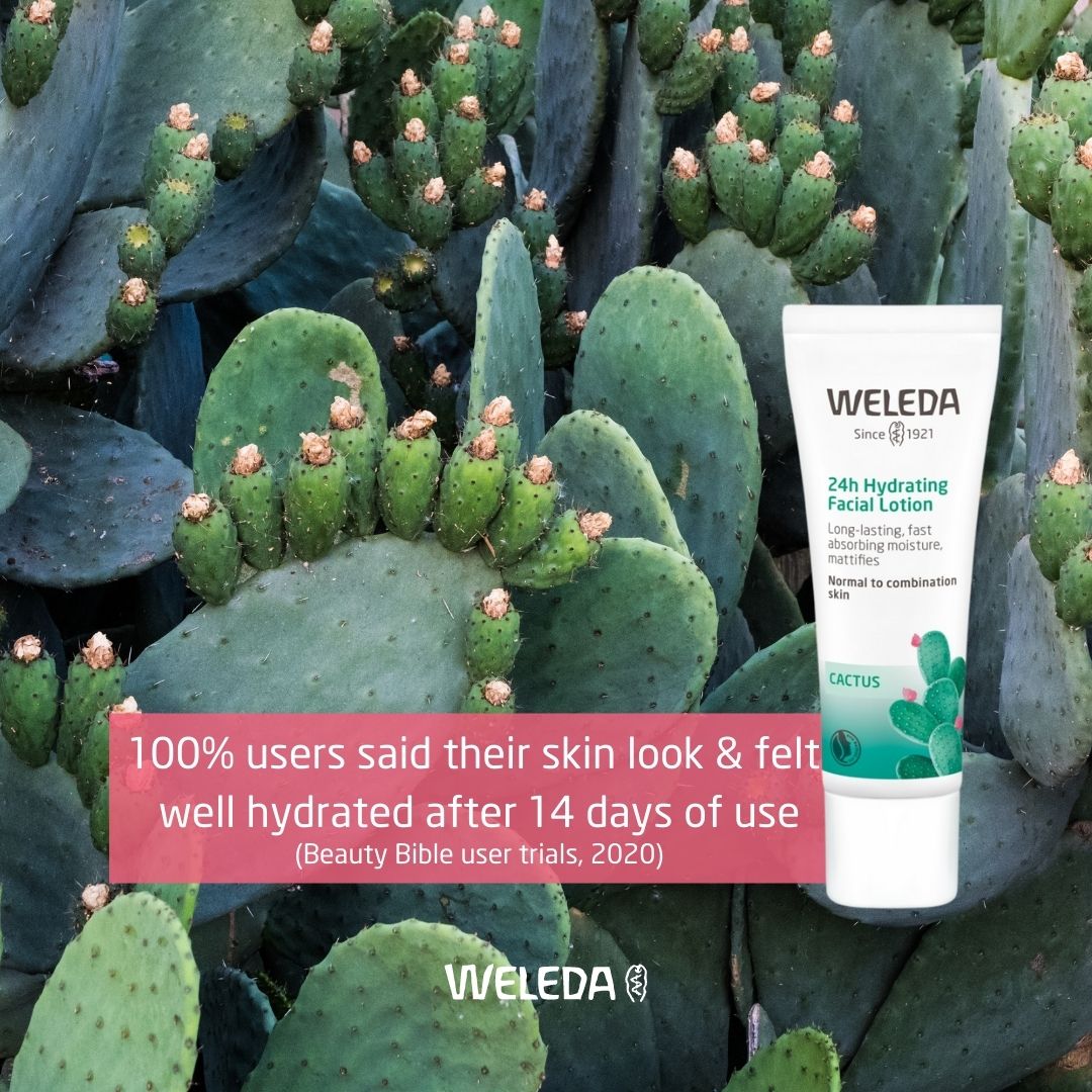 WeledaUK's tweet image. Reawaken your skin’s ability to retain&amp;amp;balance hydration with our fast-absorbing facial cream🌵The certified natural Prickly Pear Cactus Hydrating Collection is clinically proven to deliver up to 24 hours of weightless, breathable hydration&amp;amp;non-comedogenic.bit.ly/3fysejQ