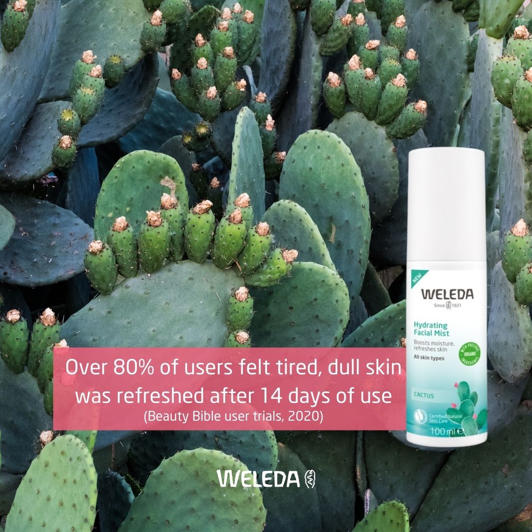WeledaUK's tweet image. Reawaken your skin’s ability to retain&amp;amp;balance hydration with our fast-absorbing facial cream🌵The certified natural Prickly Pear Cactus Hydrating Collection is clinically proven to deliver up to 24 hours of weightless, breathable hydration&amp;amp;non-comedogenic.bit.ly/3fysejQ