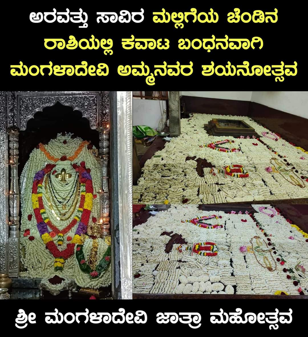 beautyoftulunad's tweet photo. Mangaladevi | 60 ಸಾವಿರ ಮಲ್ಲಿಗೆಯ ಚೆಂಡಿನ ರಾಶಿಯಲ್ಲಿ ಕವಾಟ ಬಂಧನವಾಗಿ ಮಂಗಳಮ್ಮನ ಶಯನೋತ್ಸವ...😍

#TuluNadu #Mangalore #Porlu https://t.co/8e6Qwrxrkl
