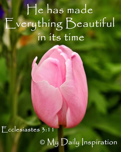 PamABermejo's tweet image. Hallelujah! 🤲🤲🤲

#GodsRevOnAResurrectionSunday
#GodTalks
#FocusOnJesus
#FixOurEyesOnHim
#HeIsTheAuthorAndPerfecterOfOurFaith

Ecclesiastes 3:11