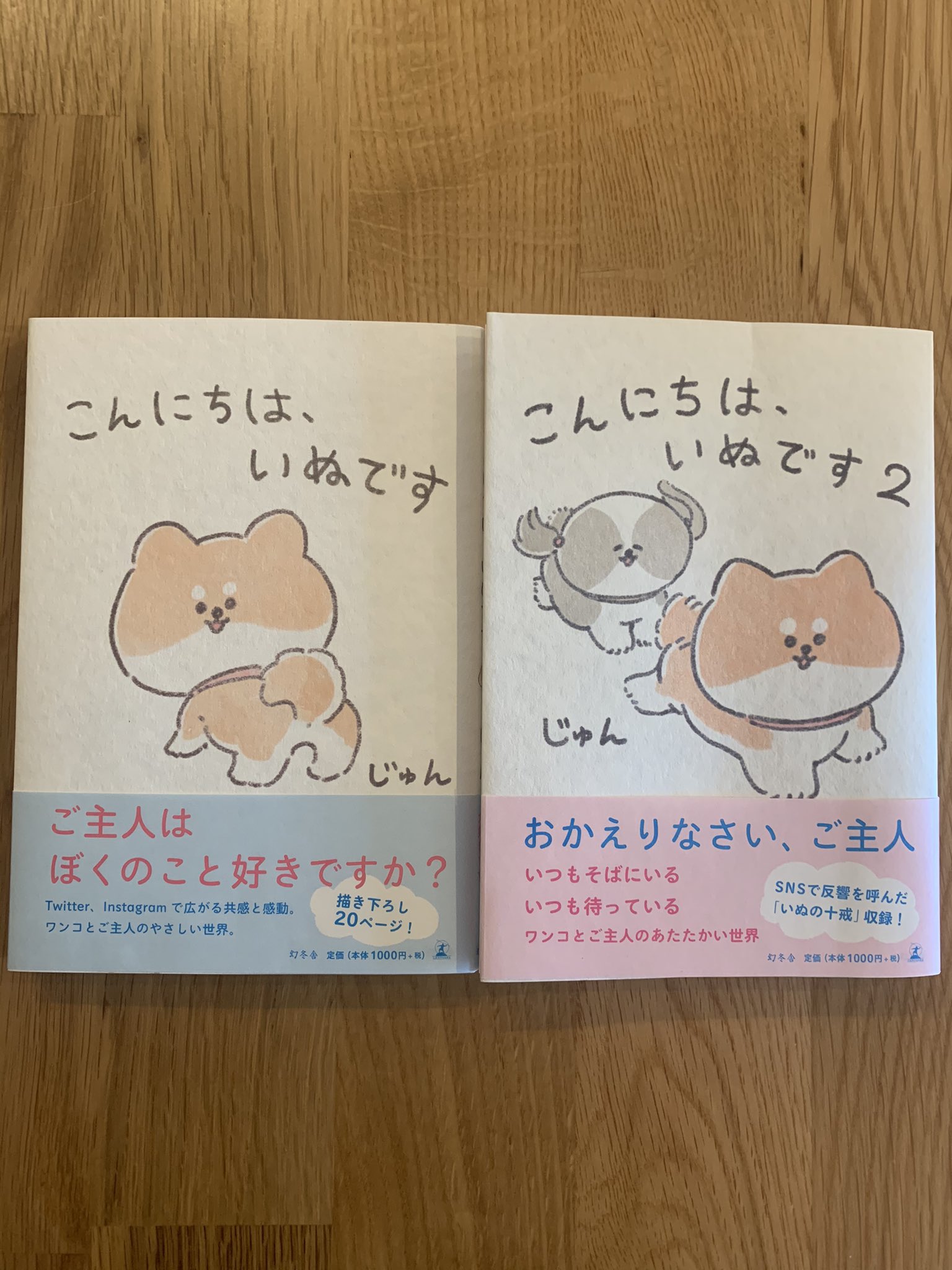 こんにちは、いぬです(公式) (@inudesu_jun) / X こんにちは、いぬです(公式) (@inudesu_jun) / X