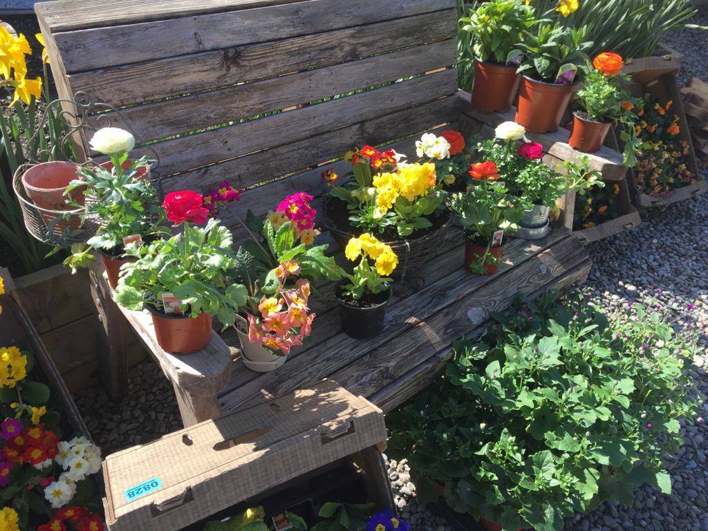 Sunday roast as normal today, beef or lamb, message us now or order with One Delivery. We also have Dave here today for all your garden needs!