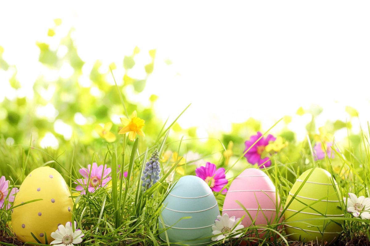 Wishing you all a happy, sunny and fun filled Easter! #EasterSunday #SundayMotivation #Easter2021 #springsunshine
