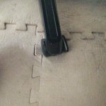 見つけるのに時間が掛かったのも頷ける!上手く周りに溶け込むオレオ!
