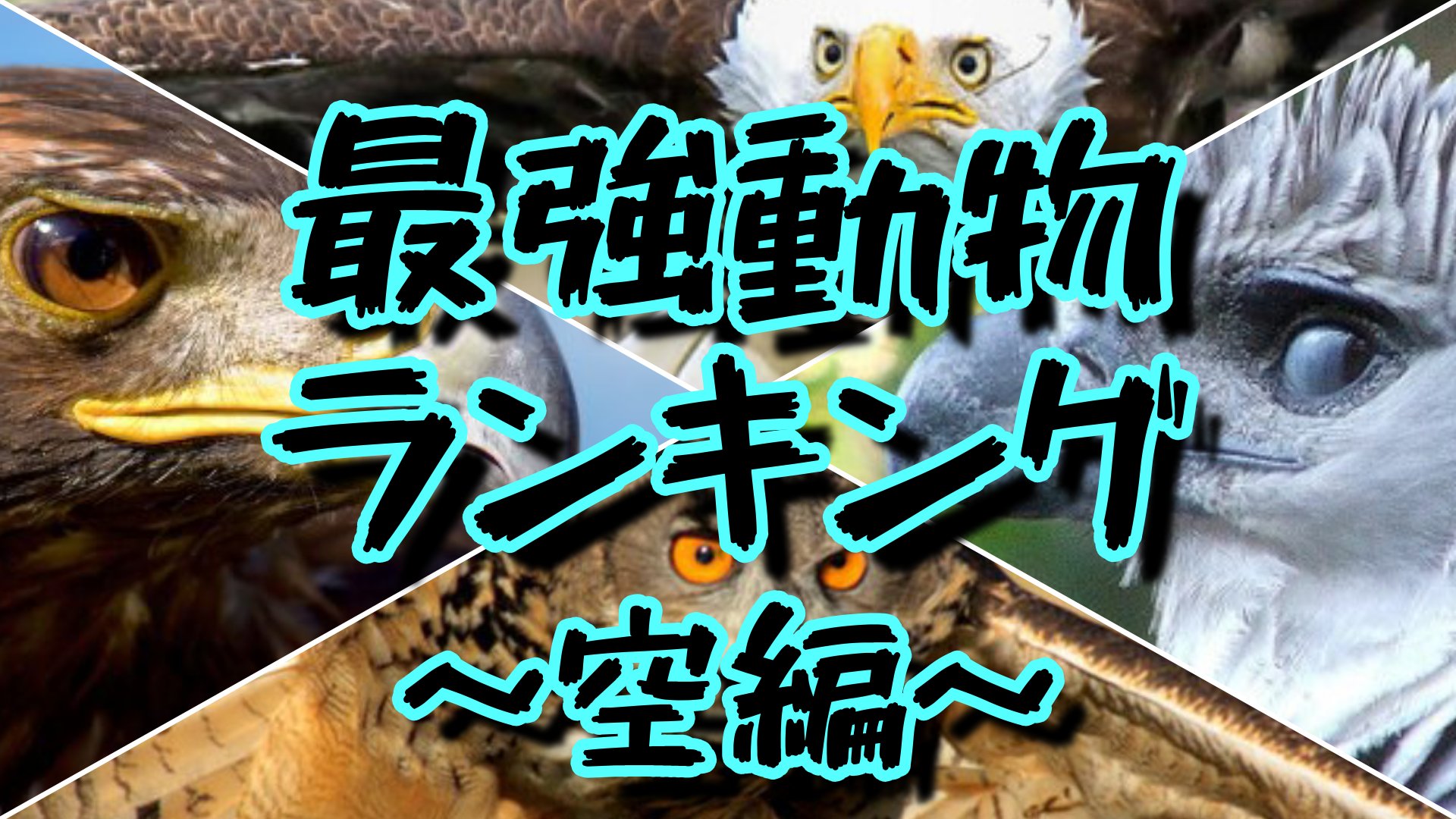 Ranking Labo Rankinglabo1 Twitter