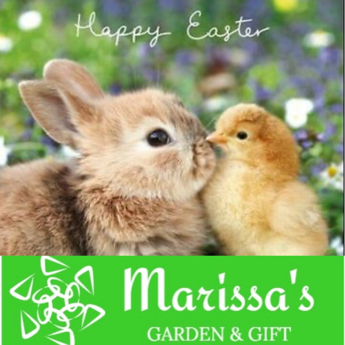 Wishing everyone a lovely Easter from Marissa’s Garden and gifts. Have a lovely day...#HappyEaster2021 #Easter #HappyEaster #Easter #Easter2021