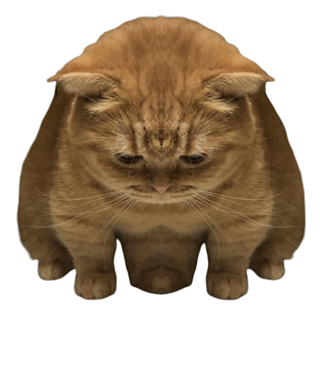 アサクサ S Recent Tweets 1 Whotwi Graphical Twitter Analysis