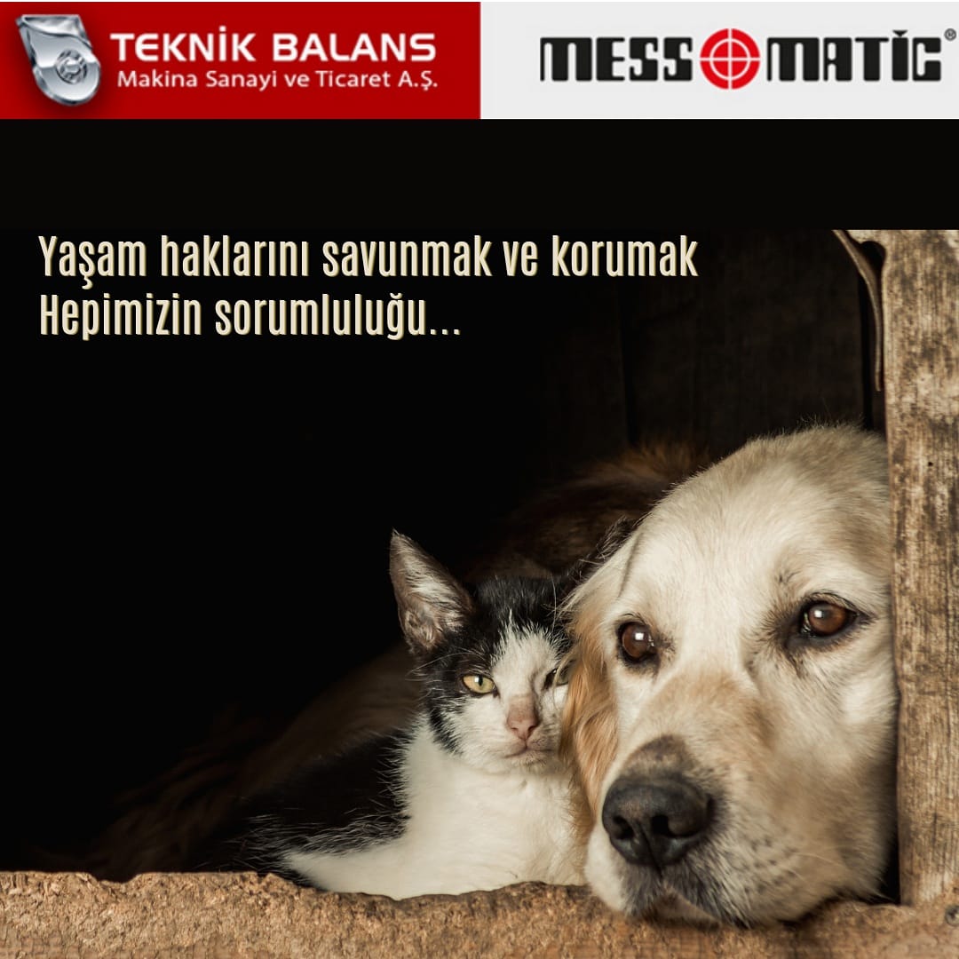 TeknikBalans's tweet photo. #4nisansokakhayvanlarıgünü 'nde hatırlayalım,
Bu hayatı beraber yaşıyoruz, onlardan sorumluyuz. https://t.co/Gzmu8pyHYZ