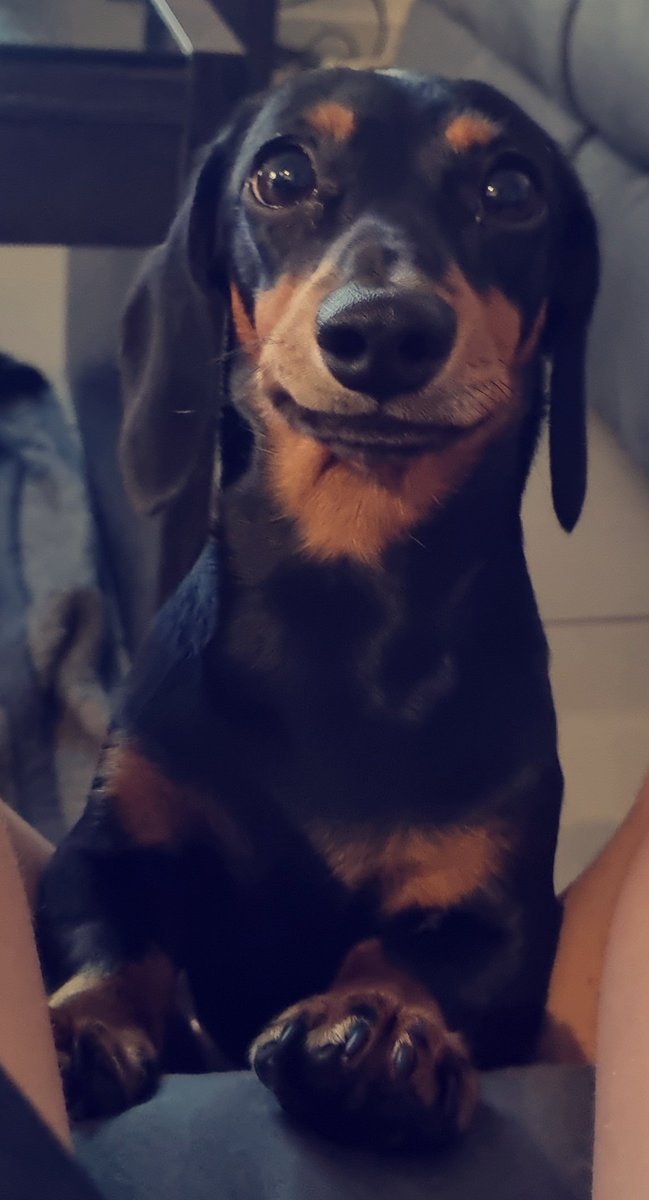 Daniel (@danieljaytaylor) on Twitter photo 