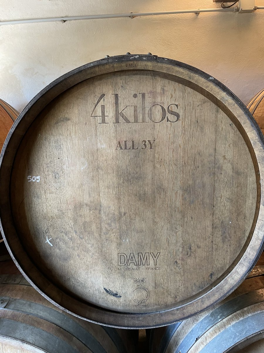 4kilos &amp; 12Volts! Bright, slim, modern and elegant. Red wines matching for spring! 🌺🐝🍷 <a href="/spain/">Spain</a> <a href="/winetouring/">Wine Tourism Spain</a> <a href="/vinum_magazin/">VINUM</a> <a href="/Wine_Advocate/">Robert Parker Wine Advocate</a> @mz_tweets <a href="/GuteWeine/">Lobenbergs GUTE WEINE</a> <a href="/4kilosvinicola/">4 Kilos Vinícola</a> 4kilos.com